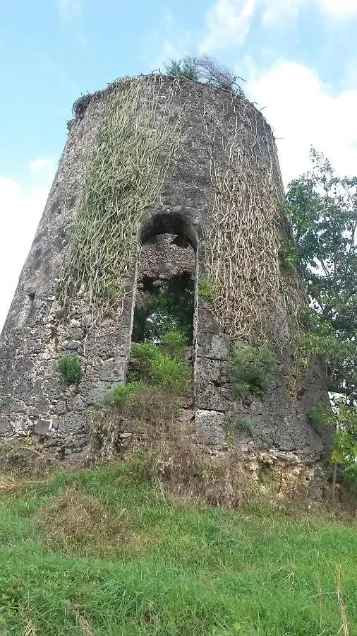 Apartmán Mangrove Port-Louis 0*,  Guadeloupe
