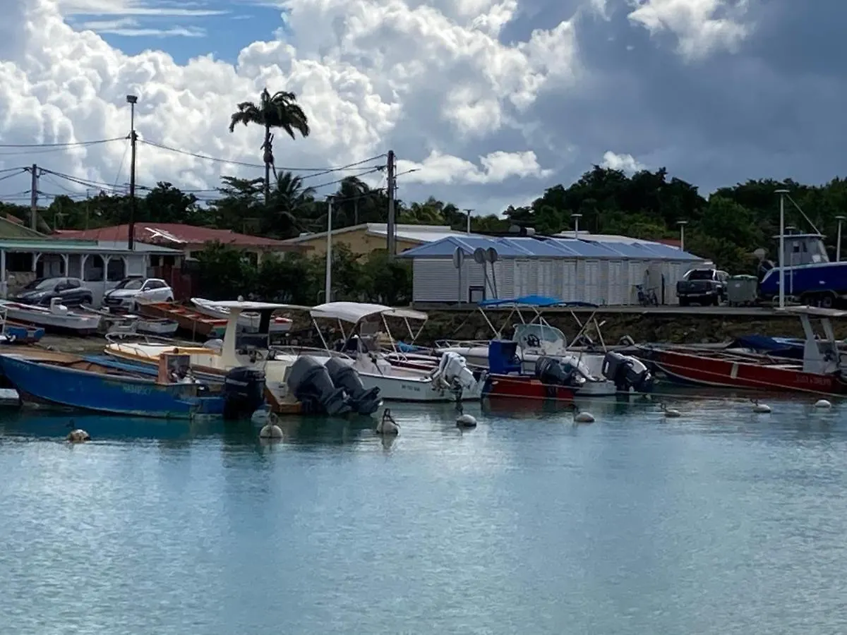 Mangrove Daire Port-Louis