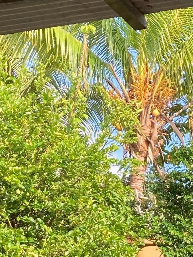 Mangrove Apartment Port-Louis Homestay