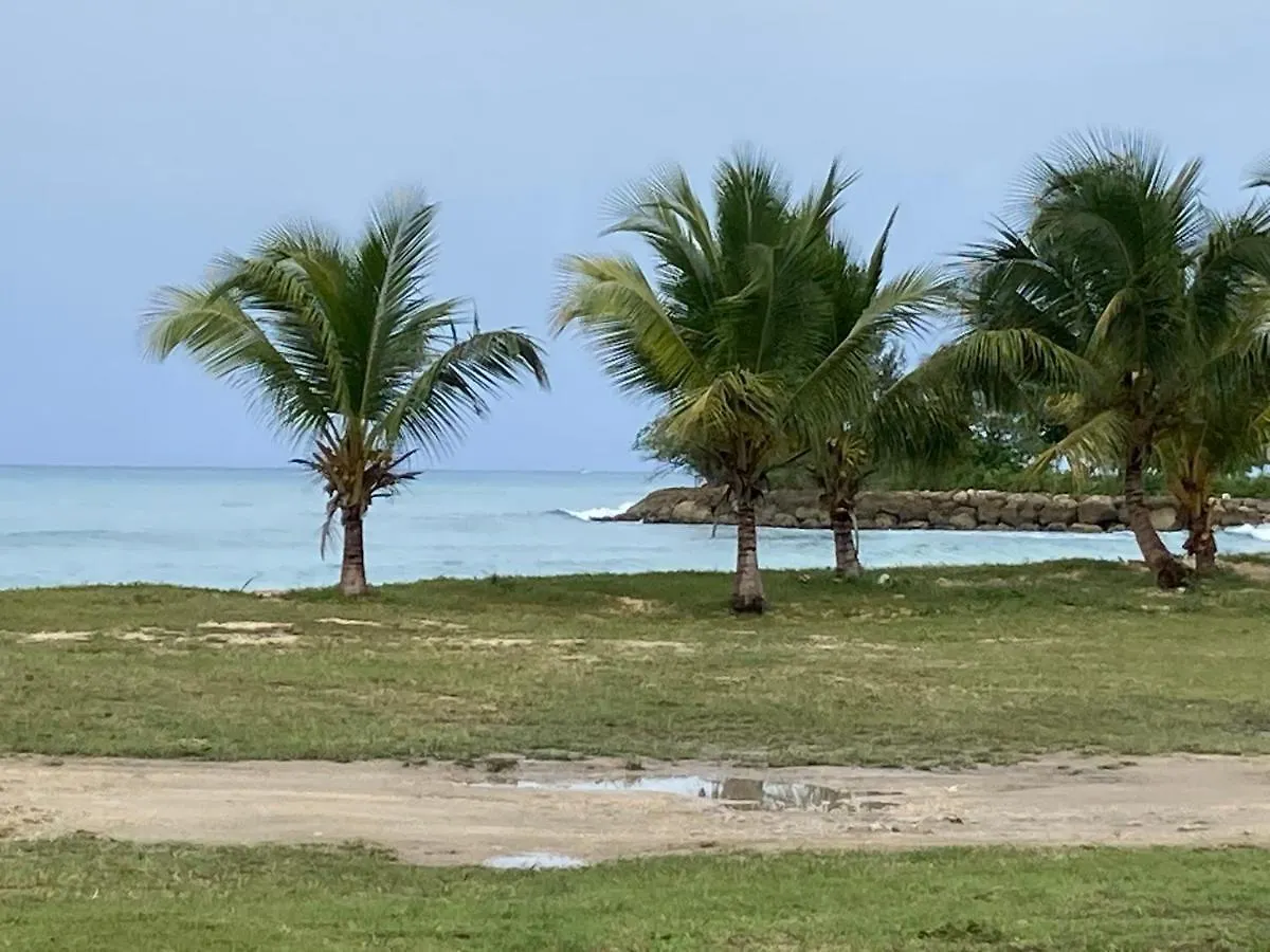 Mangrove Apartment Port-Louis Homestay